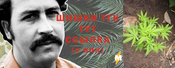 МДПВ Абаза