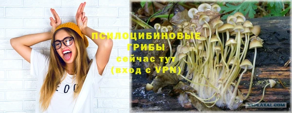 МДПВ Абаза